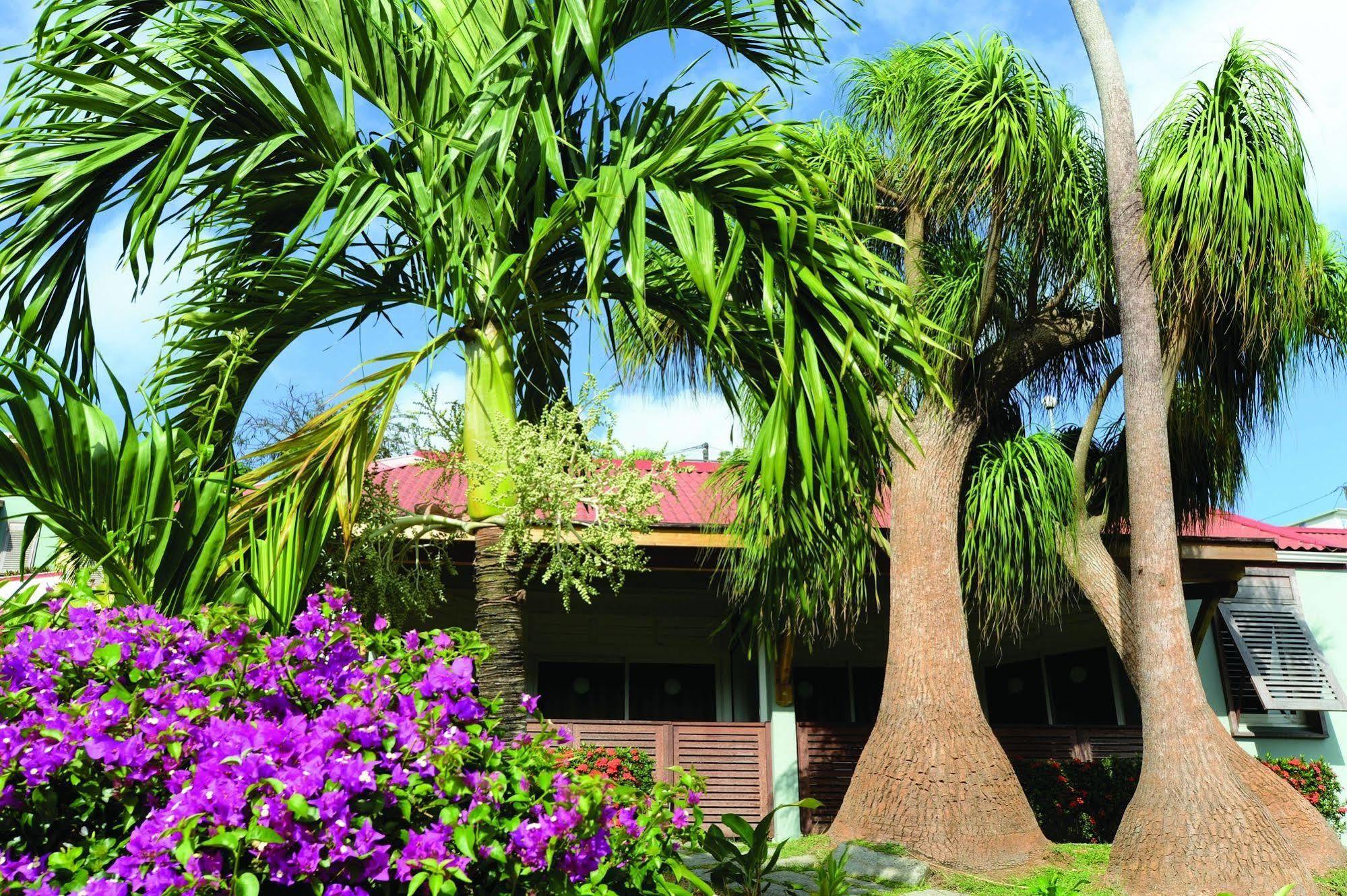 Le Panoramic Aparthotel Les Trois-Ilets Bagian luar foto